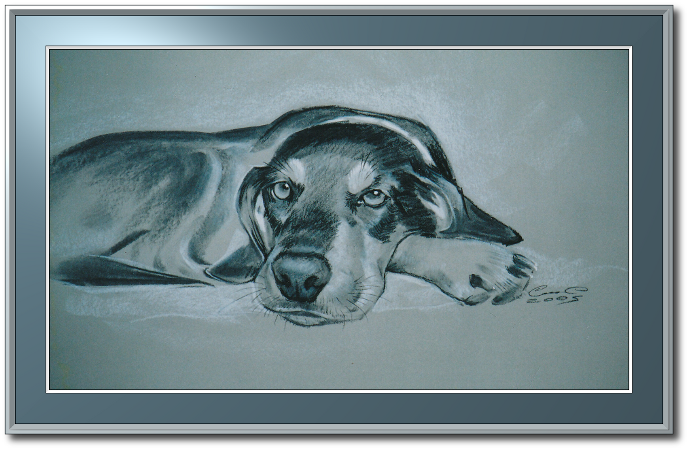 <a href="Preisliste.php#preise_kohle">» zur Preisliste</a><br /><br /><a href="Techniken.php#kohle">» Technik: Kohle</a> Hundeportrait