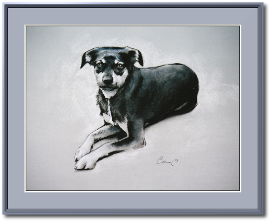 <a href="Preisliste.php#preise_kohle">» zur Preisliste</a><br /><br /><a href="Techniken.php#kohle">» Technik: Kohle</a> Hundeportrait