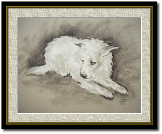 <a href="Preisliste.php#preise_kohle">» zur Preisliste</a><br /><br /><a href="Techniken.php#kohle">» Technik: Kohle</a> Hundeportrait
