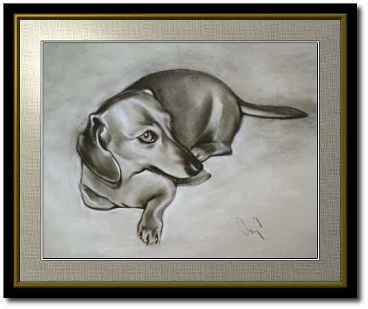 <a href="Preisliste.php#preise_kohle">» zur Preisliste</a><br /><br /><a href="Techniken.php#kohle">» Technik: Kohle</a> Hundeportrait