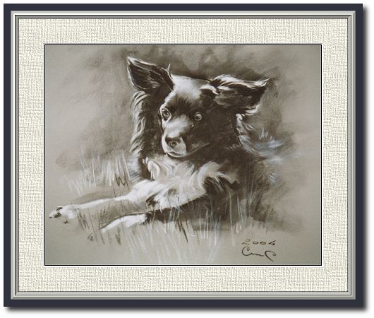 <a href="Preisliste.php#preise_kohle">» zur Preisliste</a><br /><br /><a href="Techniken.php#kohle">» Technik: Kohle</a> Hundeportrait