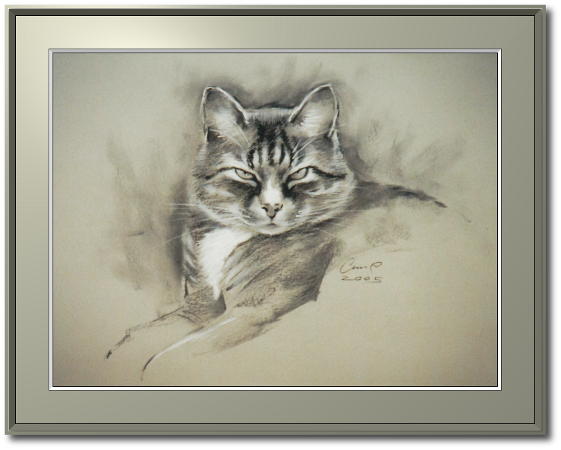 <a href="Preisliste.php#preise_kohle">» zur Preisliste</a><br /><br /><a href="Techniken.php#kohle">» Technik: Kohle</a> Katzenportrait