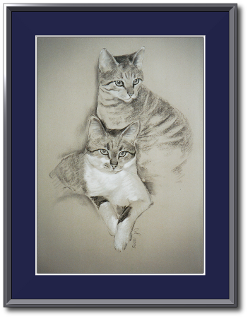 <a href="Preisliste.php#preise_kohle">» zur Preisliste</a><br /><br /><a href="Techniken.php#kohle">» Technik: Kohle</a> Katzenportrait