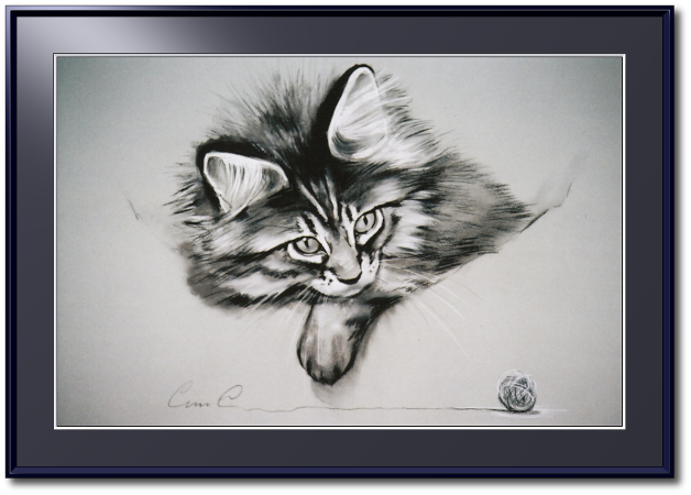 <a href="Preisliste.php#preise_kohle">» zur Preisliste</a><br /><br /><a href="Techniken.php#kohle">» Technik: Kohle</a> Katzenportrait