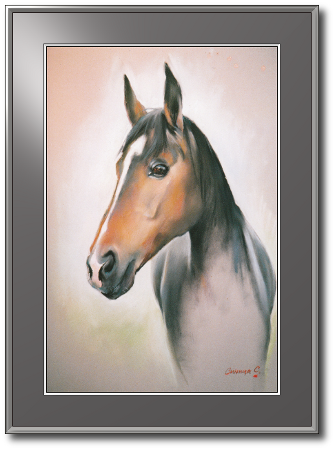 <a href="Preisliste.php#preise_kreide">» zur Preisliste</a><br /><br /><a href="Techniken.php#kreide">» Technik: Kreide</a> Pferdeportrait