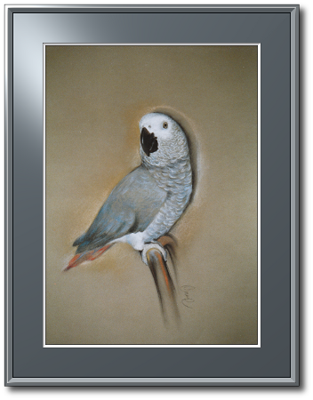 <a href="Preisliste.php#preise_kreide">» zur Preisliste</a><br /><br /><a href="Techniken.php#kreide">» Technik: Kreide</a> Vogelportrait